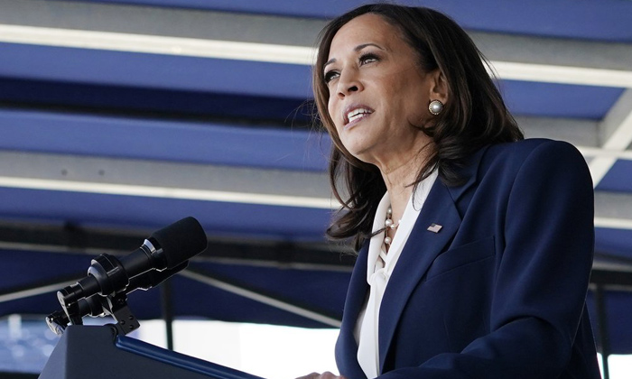  A Book On The Rise Of Indian-americans Inspired By Kamala Harris, Us Vice Presid-TeluguStop.com