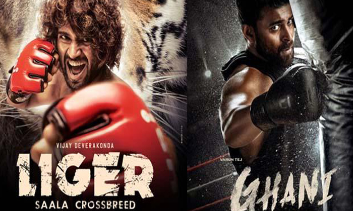  Four Boxing Concept Movies Releasing This Year, Vijay Deverakonda, Boxing Films,-TeluguStop.com