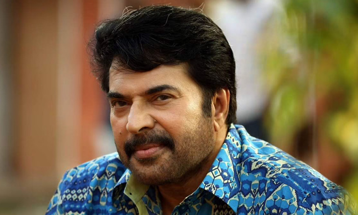  Why Mammootty First Movie Is Not Yet Released , Kerala Film Industry, Mallowwood-TeluguStop.com