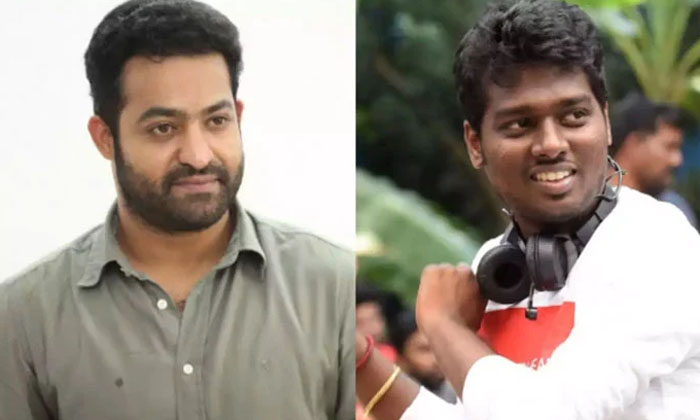  Jr Ntr Falls In Love Of This Genre For Atlee, Tollywood, South Cinema, Rrr Movie-TeluguStop.com