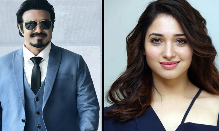  Tamanna To Act Opposite To Balakrishna, Tamanna, Balakrishna, Gopichand Malineni-TeluguStop.com