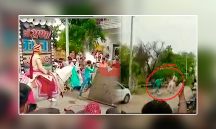  Wedding Horse Runs Away With Groom In Rajasthan State, Rajastan, Horse Runs Away-TeluguStop.com