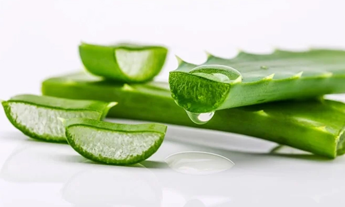  The Unknown Benefits Of Aloevera Details, Acne, Alovera, Anti Ageing, Dark Circl-TeluguStop.com