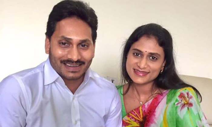 Telugu Andhra Cm Jagan, Ap Deupty Cm, Ap, Jagan, Yana Swamy, Sharmila, Sharmila