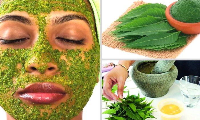  Beauty Benefits Of Neem Leaves In Rainy Season! Beauty, Benefits Of Neem Leaves,-TeluguStop.com