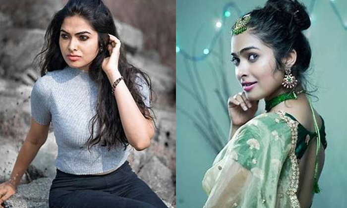  Bigg Boss, Divi Vadthya, Comments, Web Series,latetst  Tollywood  News-TeluguStop.com
