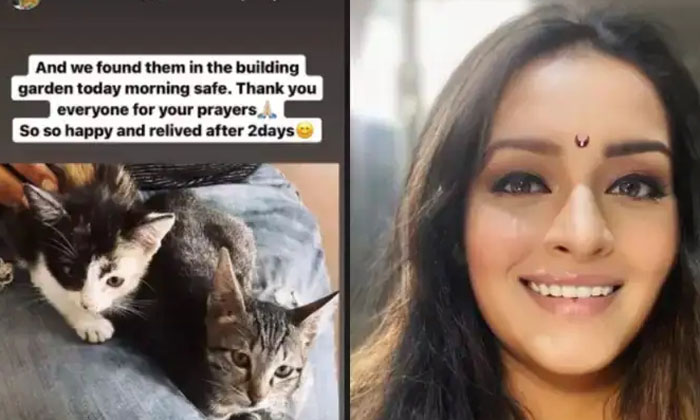 Telugu Cats, Renu Desai, Tollywood-Latest News - Telugu