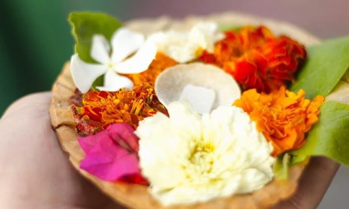  Flowers, Forbidden Places, God Give Flowers, Pooja,hindu Temple,pooja Flowers-TeluguStop.com