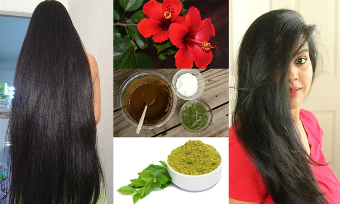  How To Get Silky Hair With Hibiscus! Silky Hair, Hibiscus, Hibiscus For Hair, Be-TeluguStop.com