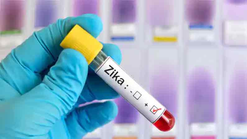  Zika Virus Cases In Kerala , Cases, Health Department, Kerala, Thiruvananthapurm-TeluguStop.com