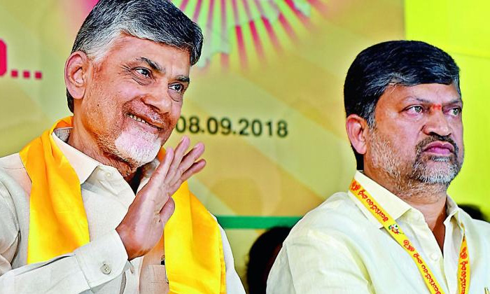 Telugu Ap Tdp, Chandrababu, Congress, Ramana, Pcc, Telangana Tdp-Telugu Politica