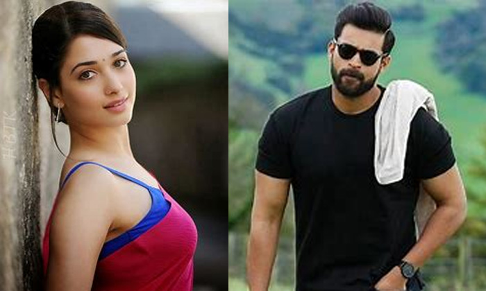  Milky Beauty Tamanna In Varun Tej Gani Movie Item Song, Tamanna,tamanna Item Son-TeluguStop.com