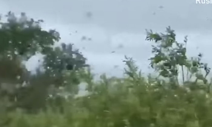  Driver Captures ‘tornado’ Of Swarming Mosquitoes In East Russia, Tornado Of-TeluguStop.com