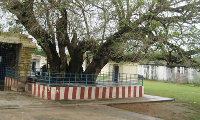 Telugu Shiva Lingas, Ankolaganapati, Chennai, Lard Ganesh, Parameshwara, Ponneri