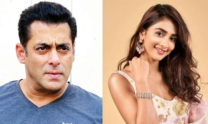  Pooja Hegde Comments On Salman Khan Goes Viral In Social Media, Pooja Hedga, Act-TeluguStop.com