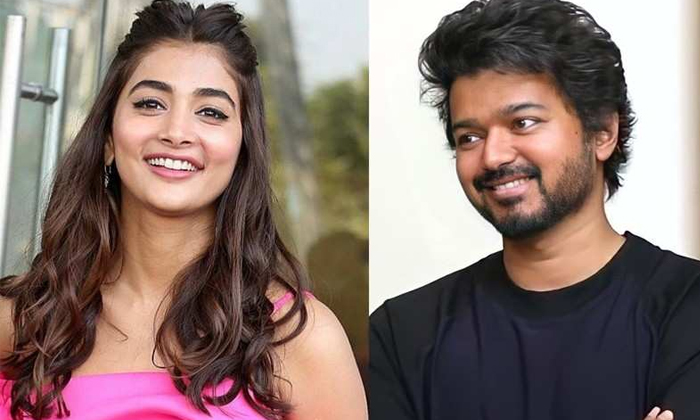  Pooja Hegde Flats To Thalapathy Vijay Attitude And Behavior In Beast Movie Shoot-TeluguStop.com