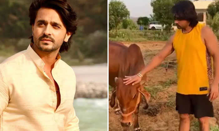  Tv Actress Ashish Sharma Photos Goes Viral In Social Media,  Ashish Sharma , Pho-TeluguStop.com