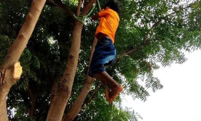  Amazing Talent In Rope Climbing At The Age Of 5. But  Five Year Old, Salivaganan-TeluguStop.com