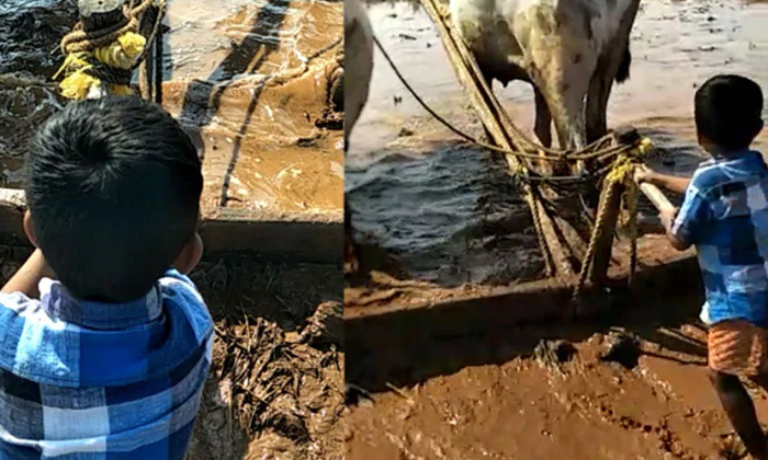  This Small Kid Video Went Viral On Social Media, Viral Video, Telangana Boy, Raj-TeluguStop.com