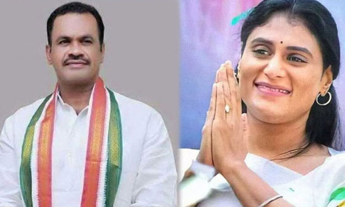  Congress Disgruntled Mp Who Told Aldibest To Sharmila  What Is The Reason  Sjarm-TeluguStop.com