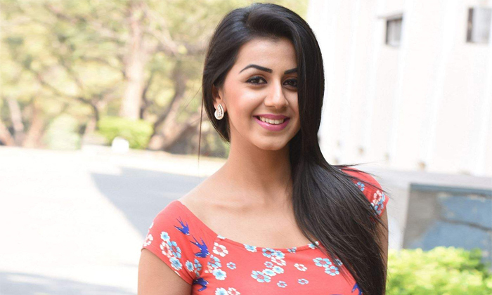 Telugu Aadi Pinishetty, Fifty Rupees, Hotel, Nikhil, Nikki Galrani, Nikkigalrani