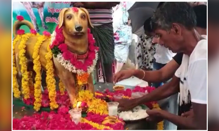  Viral Man Built Statue For His Dog Which Is Died In Krishna District , Viral Lat-TeluguStop.com
