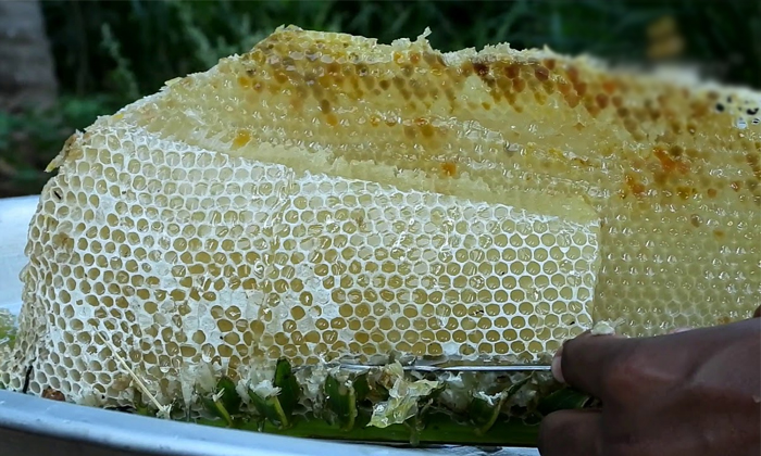  What Are The Health Benefits Of Using White Honey, White Honey, Health Care, Hea-TeluguStop.com