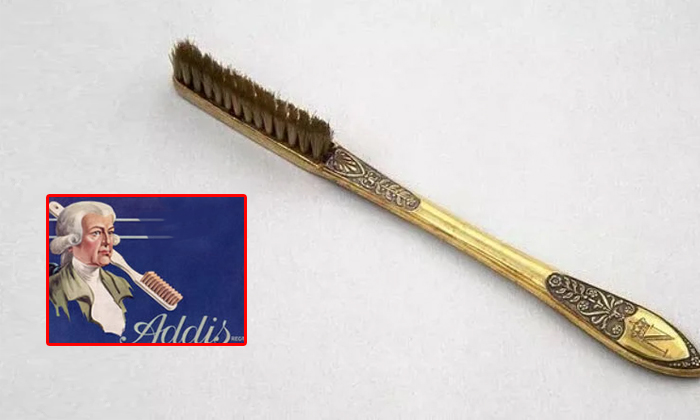 Telugu Bc, Brush, Care, Pig, Tooth Brush, Toothbrush, William Eddis-Latest News