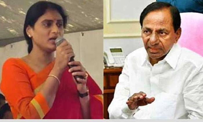 Telugu Lotuspond, Sharmilamma, Telangana, Trs, Ys Rajashekara, Ys Sharmila, Ysrc