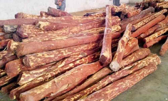  Ap Police Seized 177 Red Sanders Logs Worth 3.84 Crores-TeluguStop.com