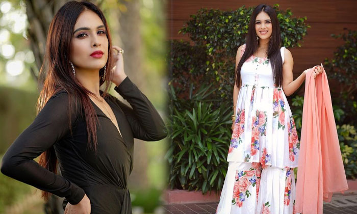 Actress Neha Malik Looks Classy And Elegant In This Pictures-telugu Actress Photos Actress Neha Malik Looks Classy And E High Resolution Photo