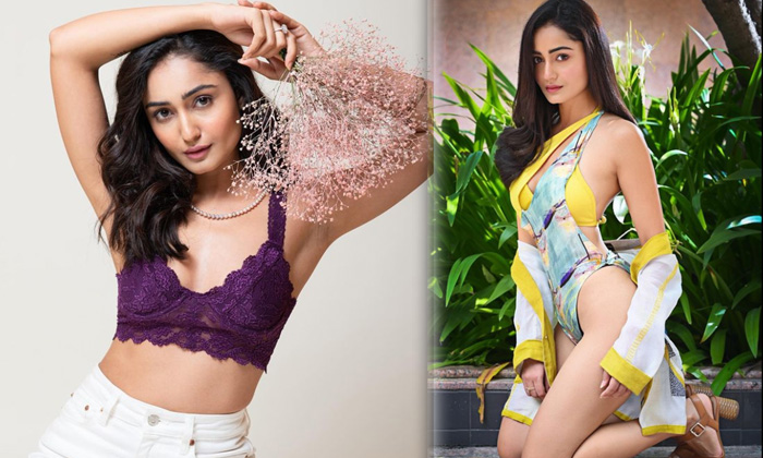 Actress Tridha Choudhury Ups Her Fashion Quotient In This Pictures-telugu Trending Latest News Updates Actress Tridha Ch High Resolution Photo