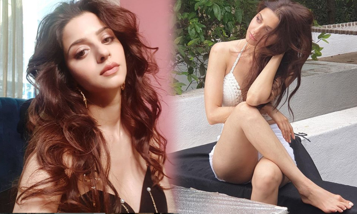 Actress Vedhika Looks Flawless In This Pictures-telugu Actress Photos Actress Vedhika Looks Flawless In This Pictures - High Resolution Photo