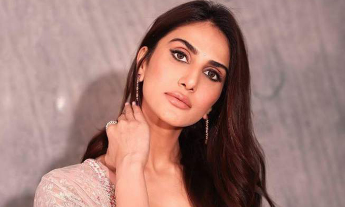  Actress Vaani Kapoor About Her Personal Life Struggles, Actress Vaani Kapoor , V-TeluguStop.com