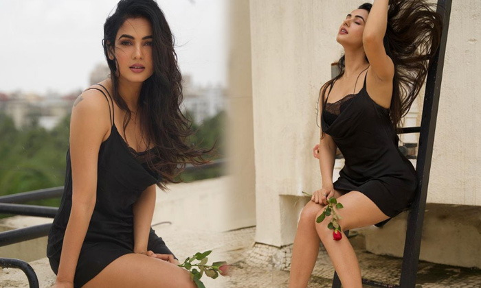 Sonal Chauhan Raises The Hotness Quotient In These Pictures-telugu Actress Photos Sonal Chauhan Raises The Hotness Quoti High Resolution Photo