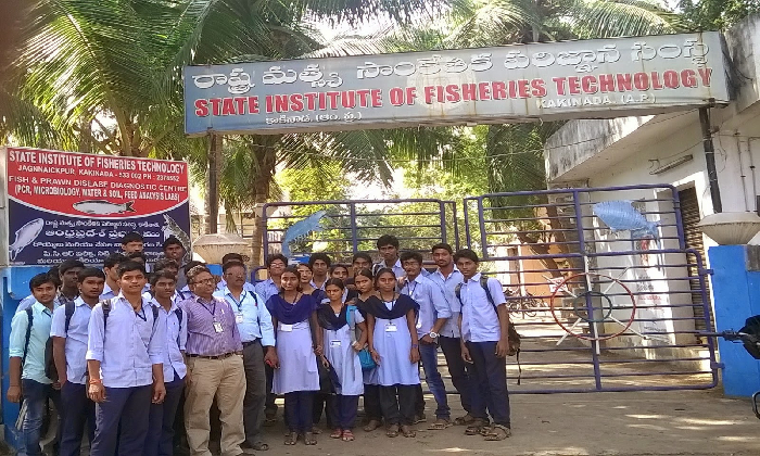  State Institute Of Fisheries Technology In Kakinada Gets Nabl Recognition!!-TeluguStop.com