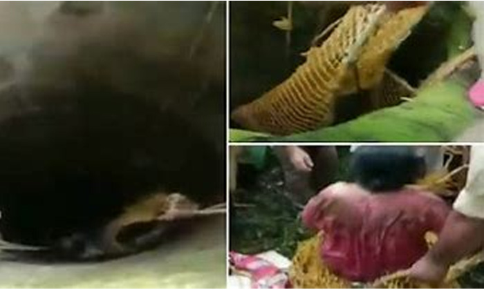  The Woman Who Fell Into The Deep Well After That  Well, Viral Video,social Media-TeluguStop.com