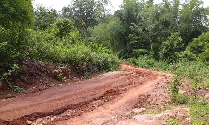  This Man Harihara Carves Out Kilometre Long Canal To Irrigate Land, Mountain Man-TeluguStop.com