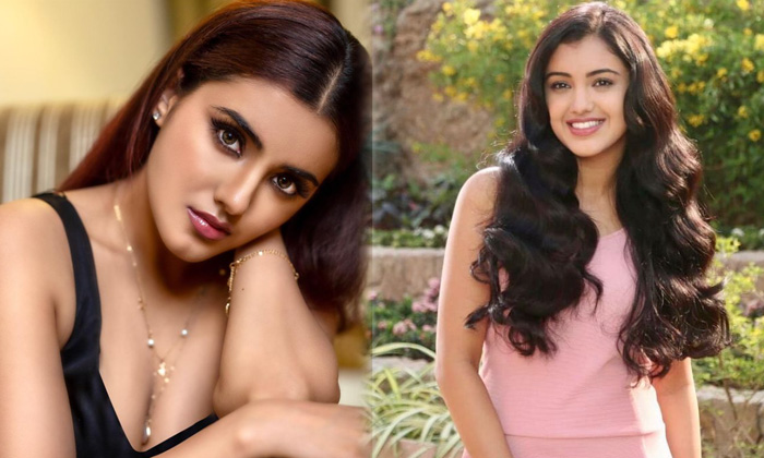 Tollywood Actress Malvika Sharma Slays With This Pictures - Actressmalvika Malvika Sharma Malvikasharma High Resolution Photo