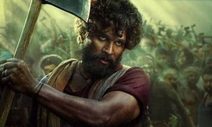 Telugu Allu Arjun, Pushpa-Movie