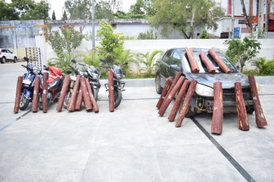  Andhra Police Arrest 5 People, Seize 20 Red Sanders Logs-TeluguStop.com