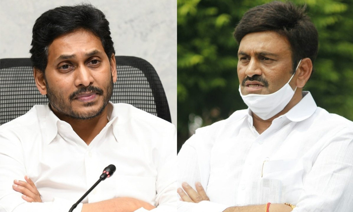 Telugu Ap, Chandrababu, Devineni Uma, Jagan, Sapuram Mp, Rebal Mp-Political