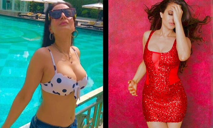  Badri Movie Actress Ameesha Patel Shares Her Glamorous Photos In Social Media,-TeluguStop.com