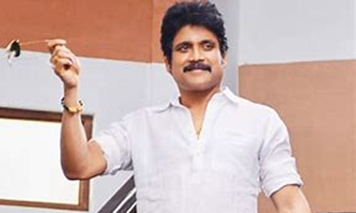  Bangarraju Movie Entry Into Sankranthi 2022 Race, Nagarjuna, Bangarraju, Sankran-TeluguStop.com