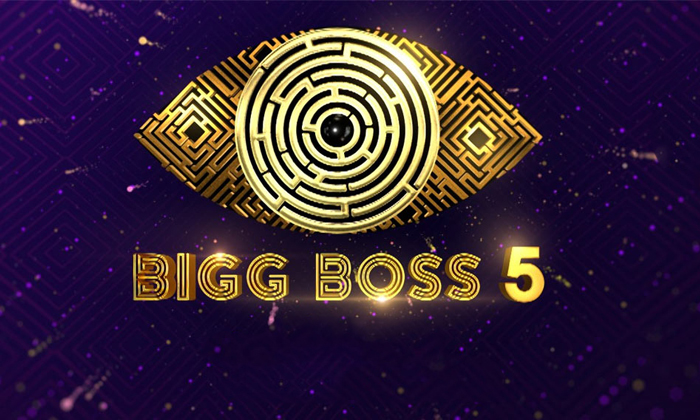  Bigg Boss Season 5 Telugu Final Contestant List Leaked Goes Viral In Social Medi-TeluguStop.com