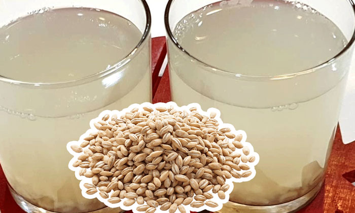  Barley Java Helps To Get Rid Of Constipation! Barley Java, Constipation, Latest-TeluguStop.com