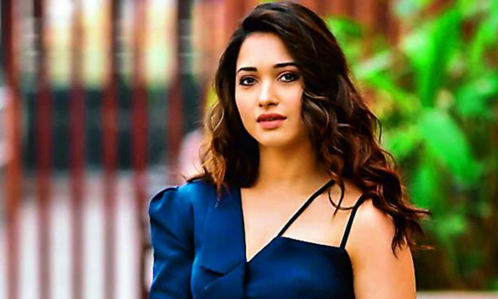  Milky Beauty Tamannaah Favourite Dish Details Here, Tollywood , Tahamnna , Like-TeluguStop.com