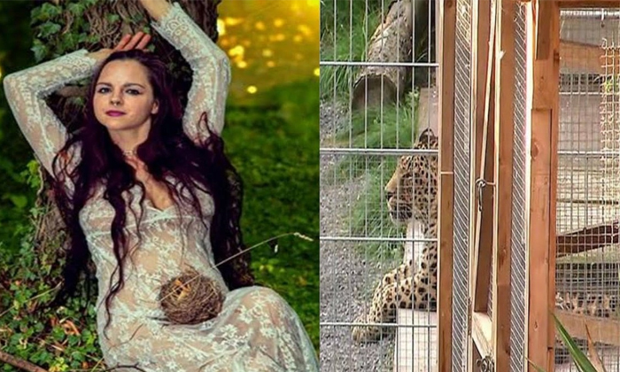 Model Jessica Attacked By Leopard In Germany, Photoshoot Gone Wrong, Model Atta Model Jessica Attacked By Leopard In Germany, Photoshoot Gone Wrong, Model Atta-TeluguStop.com