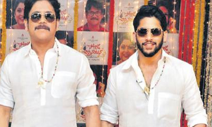 Telugu Bangaarraju, Krithi Shetty, Naga Chaitanya, Nagarjuna, Nagarjunanaga, Ram