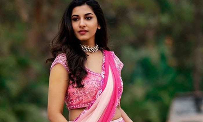 Telugu Netizens, Tollywood, Tv Shows, Vishnupriya-Movie